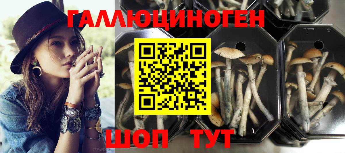 Галлюциногенные грибы Psilocybe  Вход с VPN  Галлюциногенные грибы мухоморы  Обнинск 