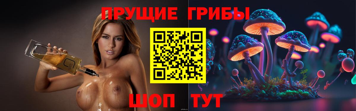 Галлюциногенные грибы прущие грибы Обнинск